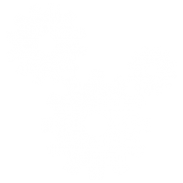 teknologiogudvikling